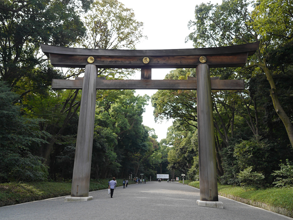 日本一の木の鳥居、高さは12mもあります